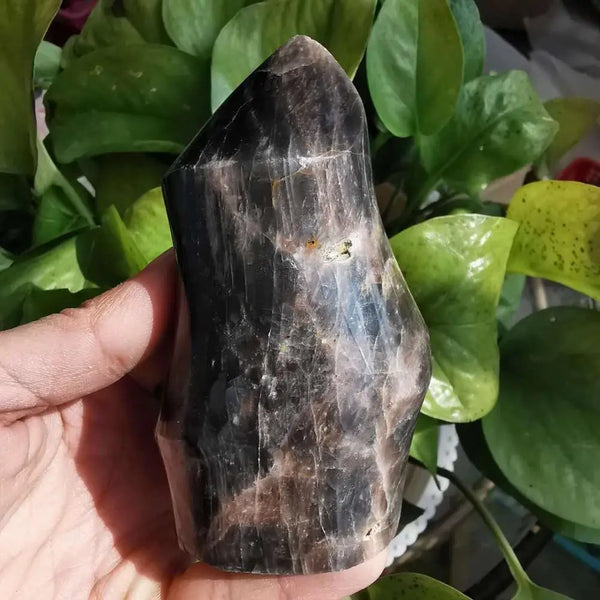 Black Moonstone Crystal Flame-ToShay.org