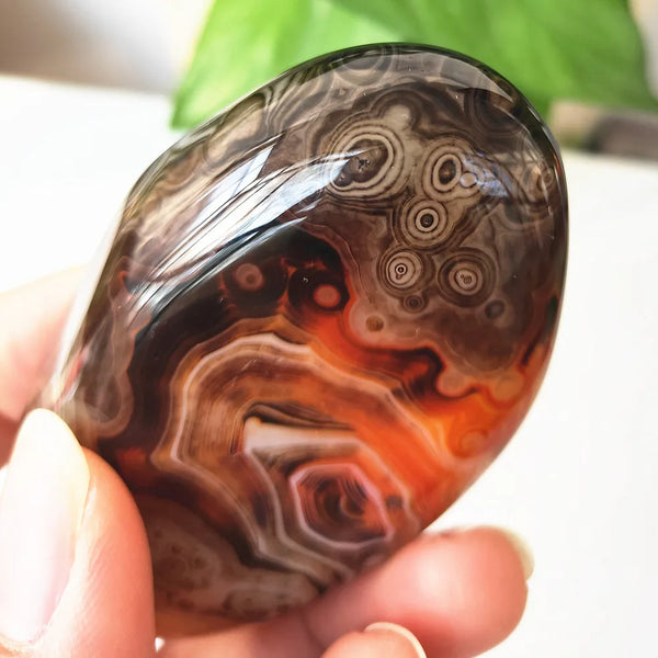 Red Sardonyx Carnelian Agate-ToShay.org