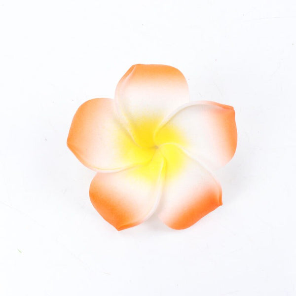 Frangipani Flowers-ToShay.org