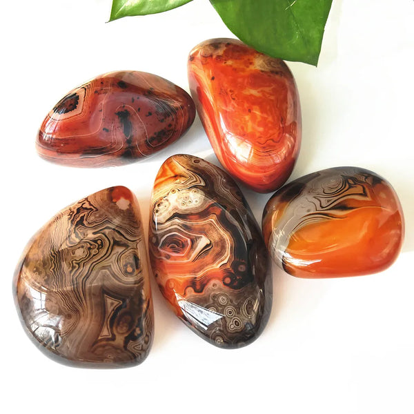 Red Sardonyx Carnelian Agate-ToShay.org