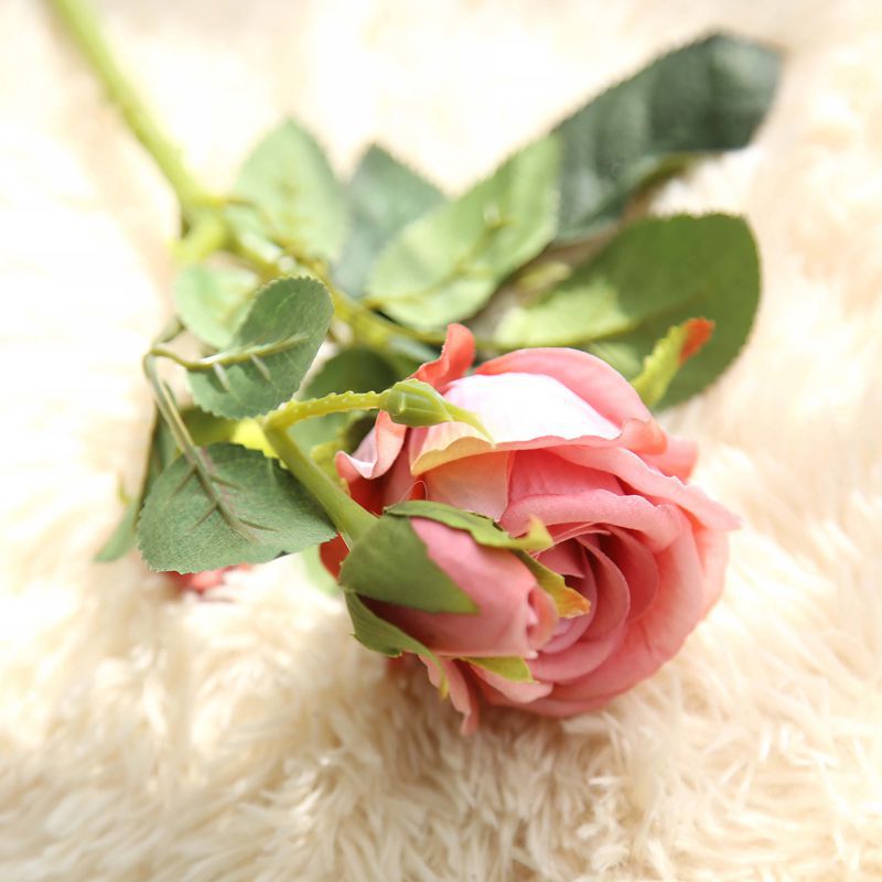 Rose Flowers-ToShay.org