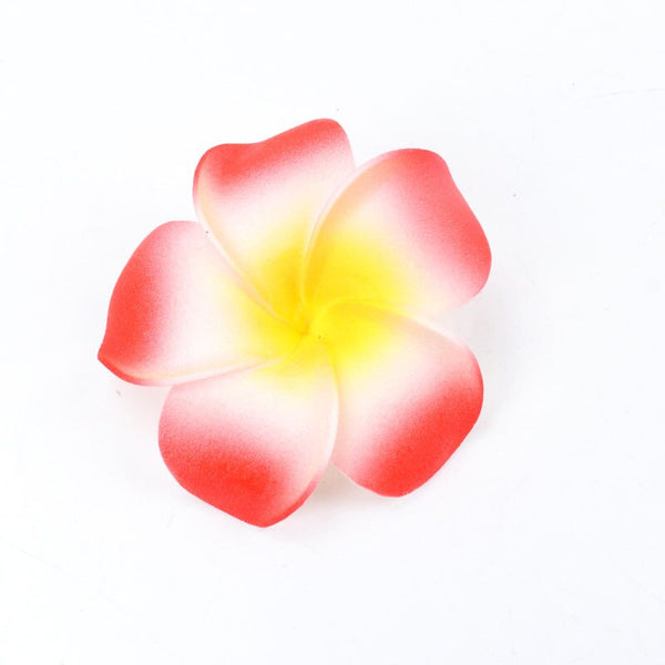 Frangipani Flowers-ToShay.org