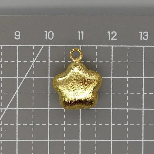 Gold Plated Star Charm-ToShay.org