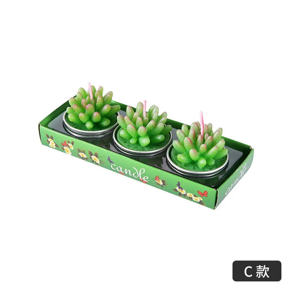 Green Cactus Candles-ToShay.org