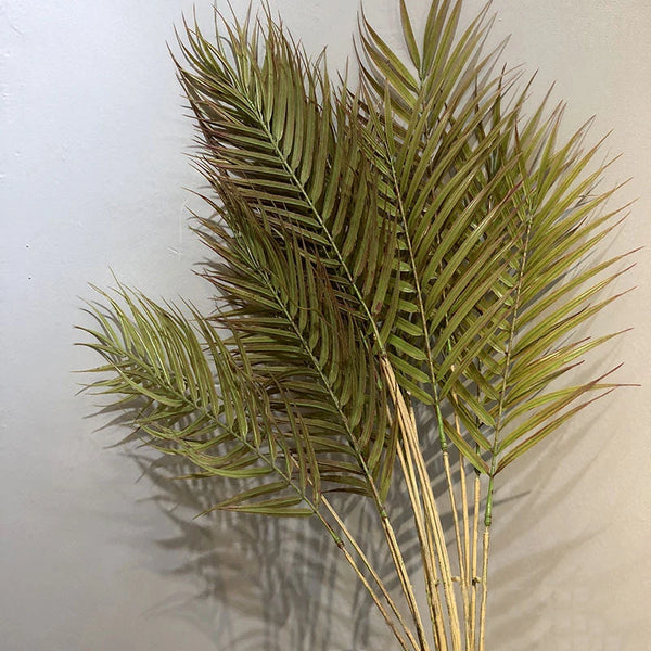 Green Palm Leaves-ToShay.org