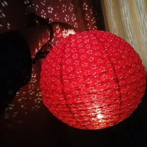 Paper Lantern-ToShay.org