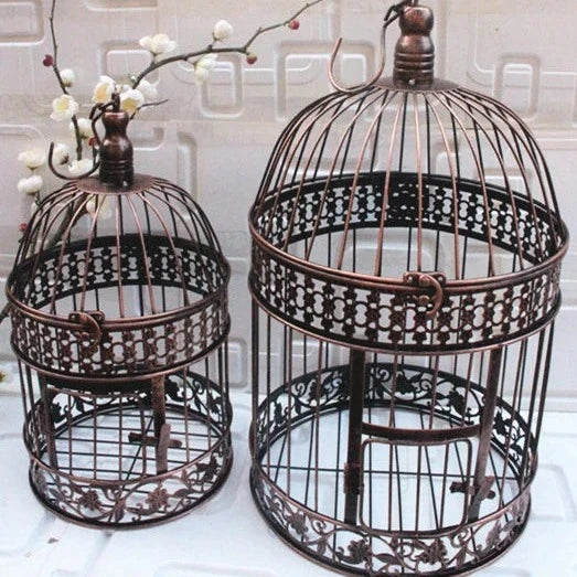 Iron Bird Cage-ToShay.org