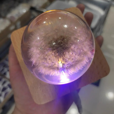 Dandelion Crystal Ball LED Light-ToShay.org