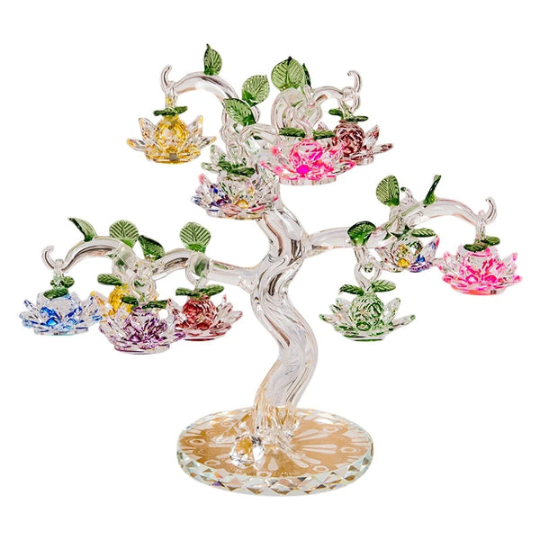 Lotus Tree-ToShay.org
