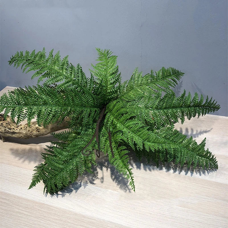 Fern Leaf Plant-ToShay.org