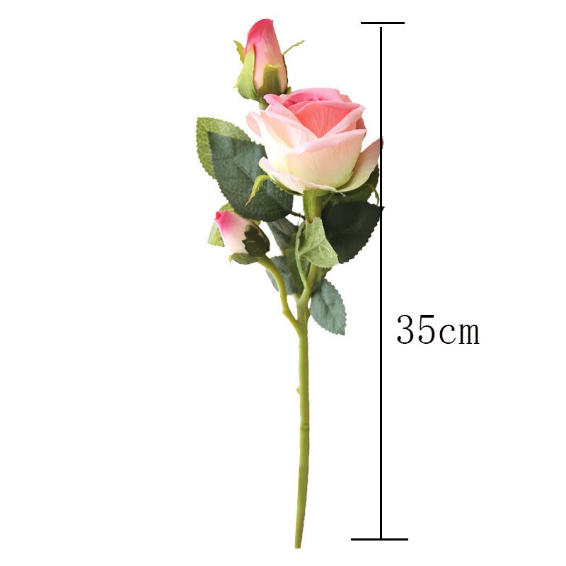 Rose Flowers-ToShay.org