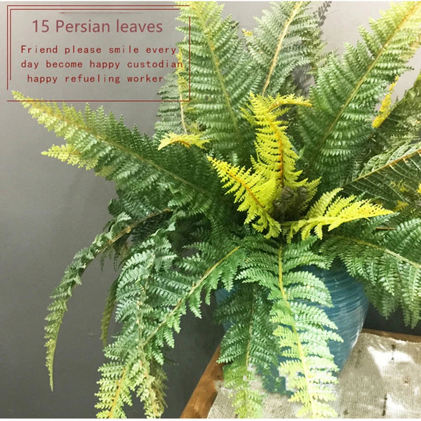 Fern Leaf Plant-ToShay.org