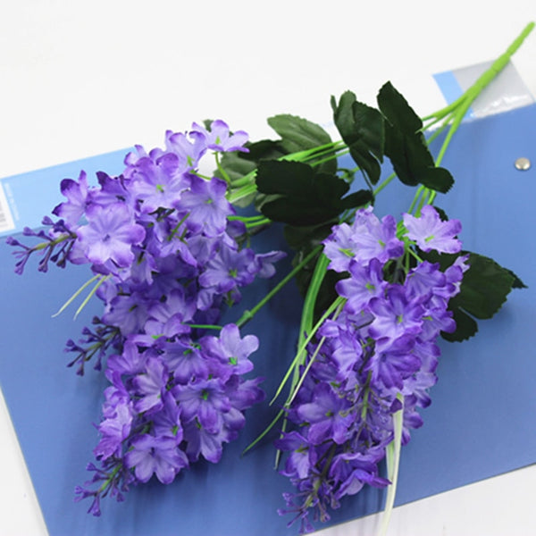 Hyacinth Violet Flowers-ToShay.org