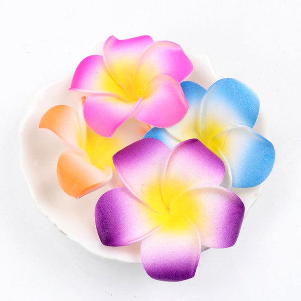 Frangipani Flowers-ToShay.org