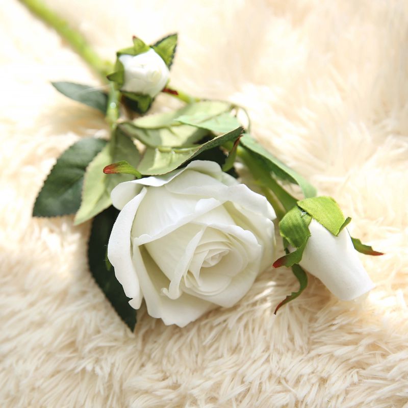 Rose Flowers-ToShay.org