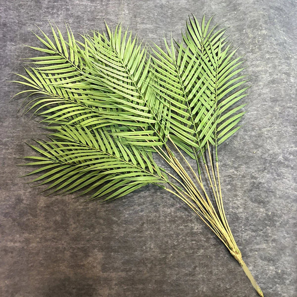 Green Palm Leaves-ToShay.org