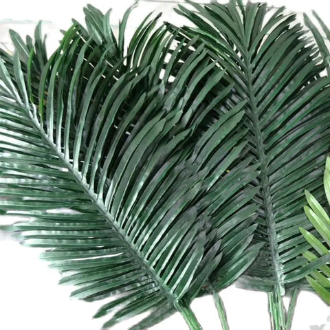 Palm Tree Leaves-ToShay.org