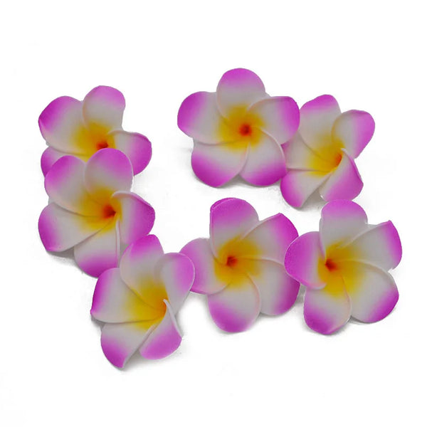 Frangipani Flower-ToShay.org