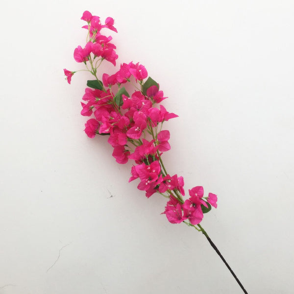 Bougainvillea Flower Branches-ToShay.org