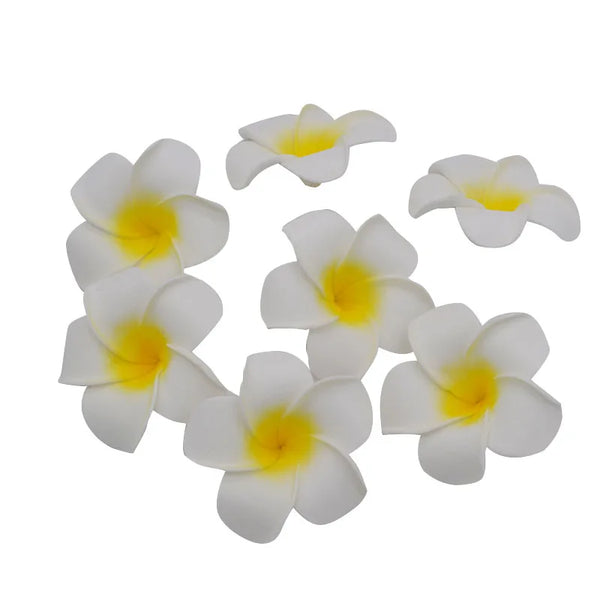 Frangipani Flower-ToShay.org
