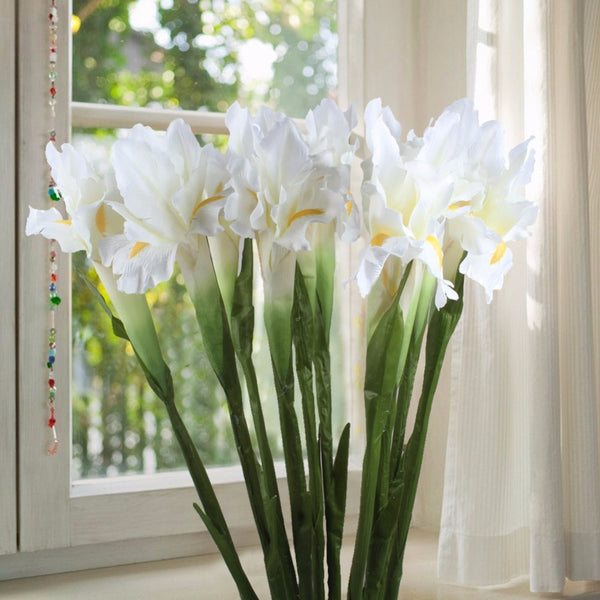 Iris Flower Stems-ToShay.org