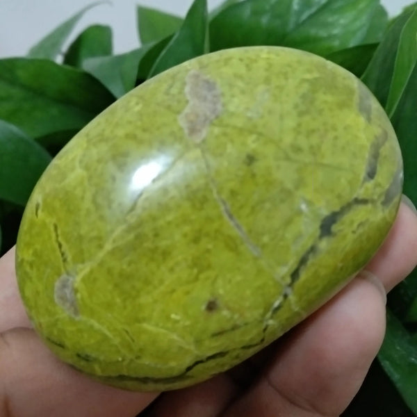 Green Opal Palm Stone-ToShay.org