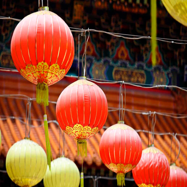 Red Festival Lantern-ToShay.org