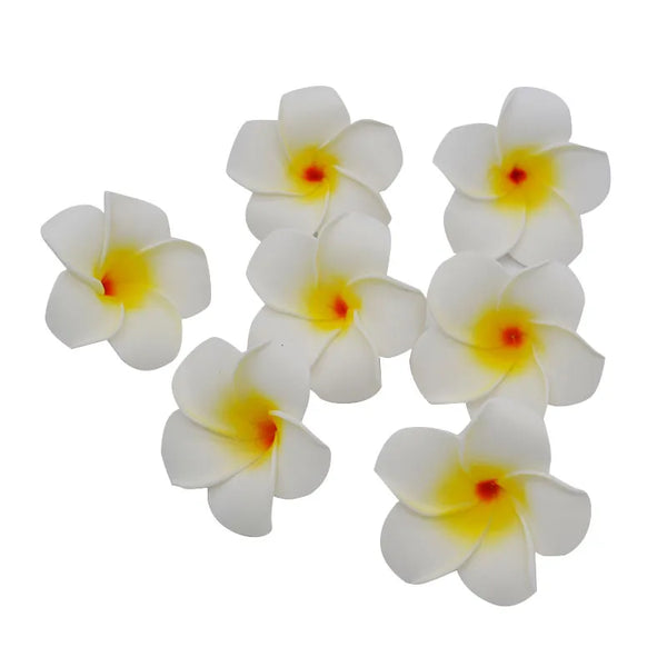 Frangipani Flower-ToShay.org