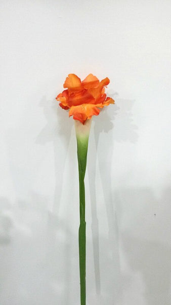 Iris Flower Stems-ToShay.org