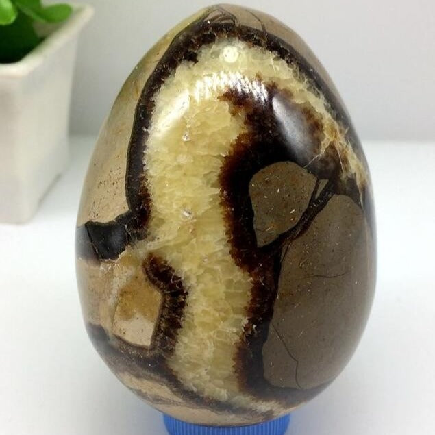 Yellow Dragon Septarian Egg-ToShay.org
