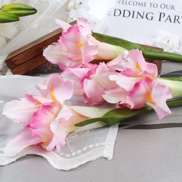 Iris Flower Stems-ToShay.org