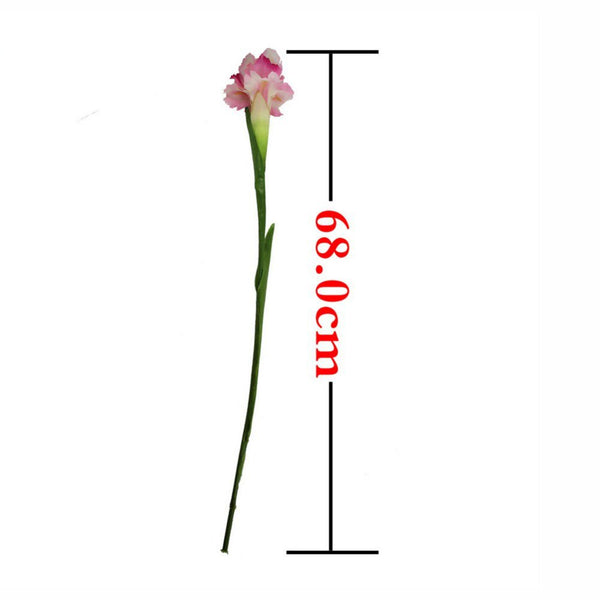Iris Flower Stems-ToShay.org