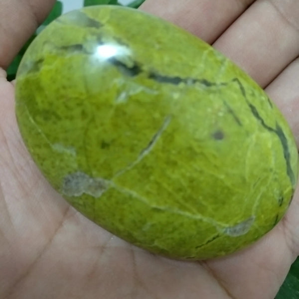 Green Opal Palm Stone-ToShay.org