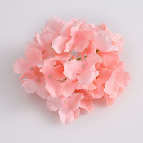 Hydrangea Flower Heads-ToShay.org