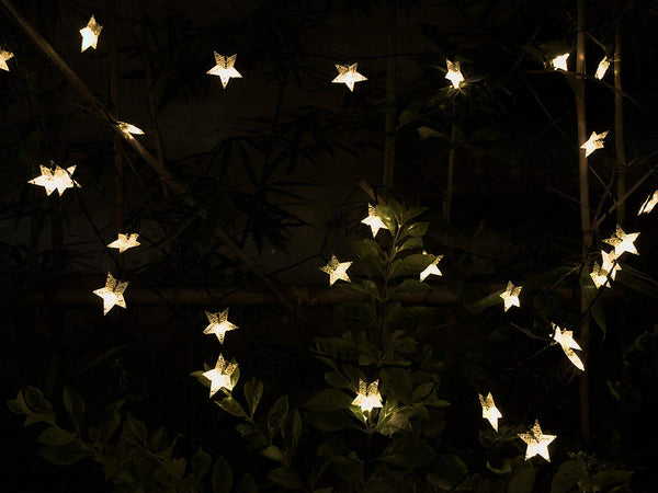 Star String Fairy Lights-ToShay.org