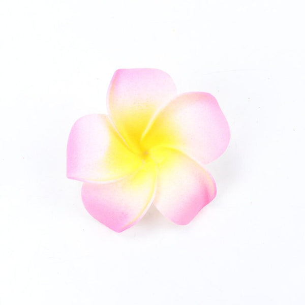 Frangipani Flowers-ToShay.org