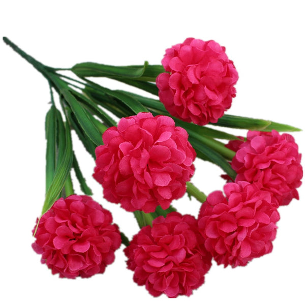 Hydrangea Flowers-ToShay.org