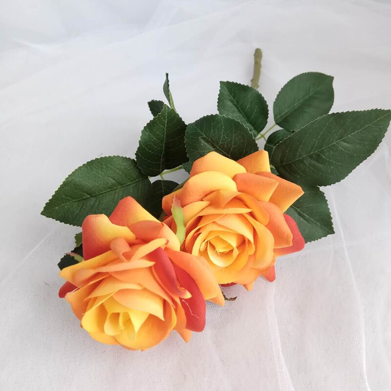 Rose Flowers-ToShay.org