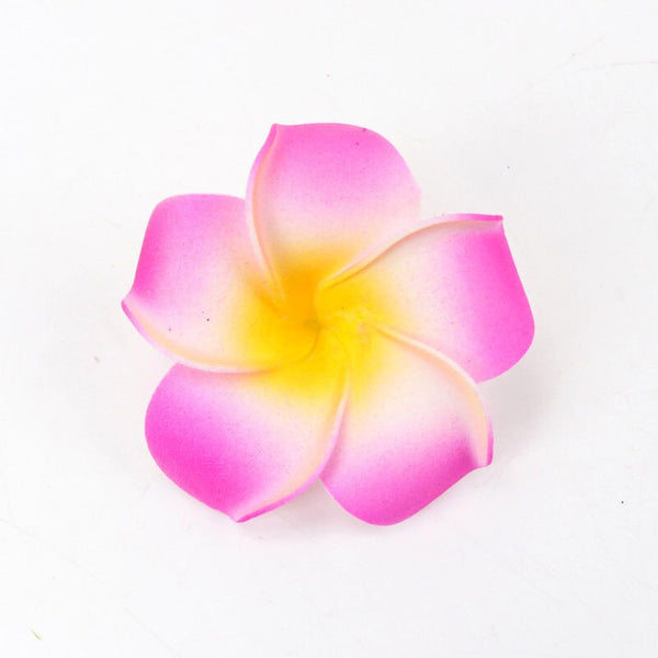 Frangipani Flowers-ToShay.org