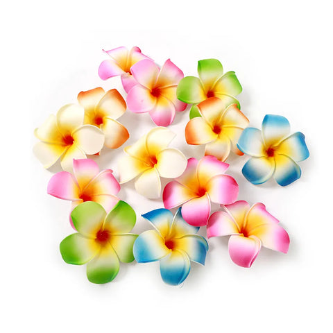 Frangipani Flower-ToShay.org