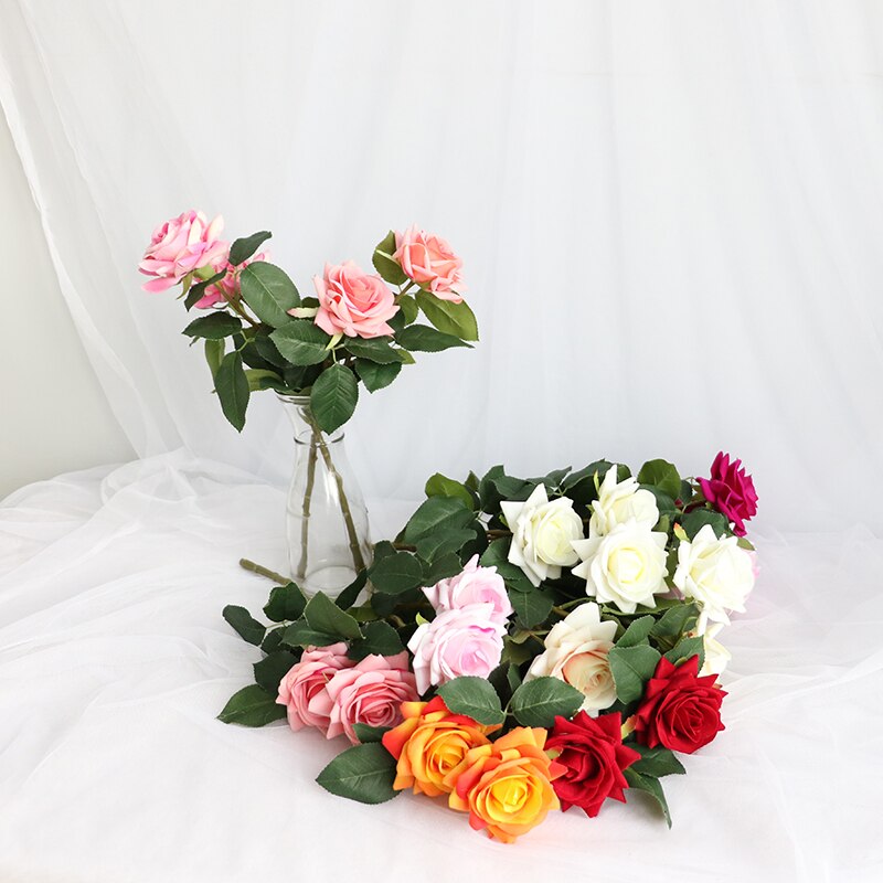 Rose Flowers-ToShay.org