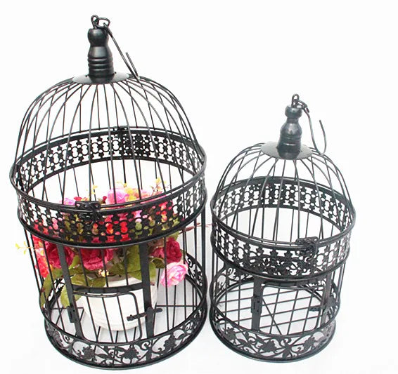 Iron Bird Cage-ToShay.org