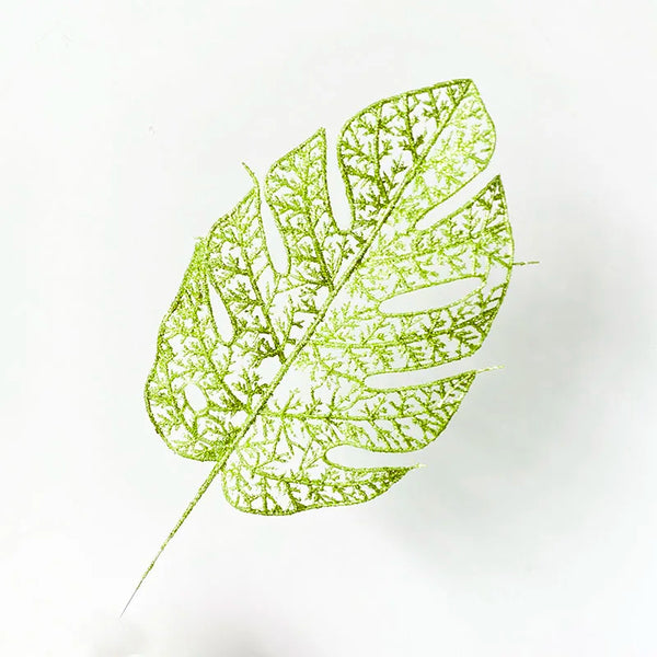 Plant Leaf-ToShay.org