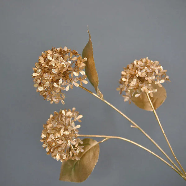 Gold Plant Leaf-ToShay.org