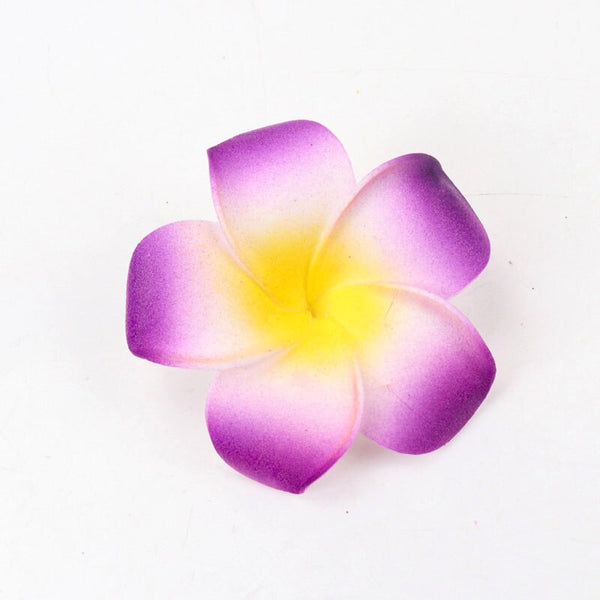 Frangipani Flowers-ToShay.org