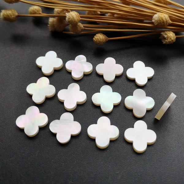 White Flower Shell-ToShay.org