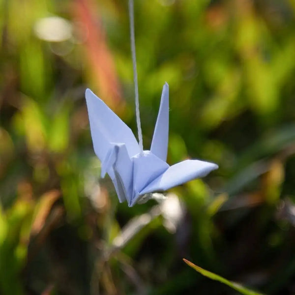 Paper Cranes Strings-ToShay.org