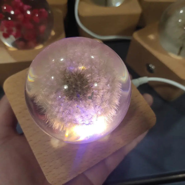 Dandelion Crystal Ball LED Light-ToShay.org