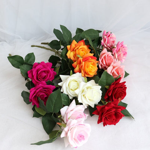 Rose Flowers-ToShay.org