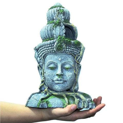Pond Buddha Head-ToShay.org